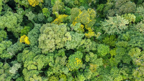 L'art de créer des bijoux : astuces et fournitures essentielles