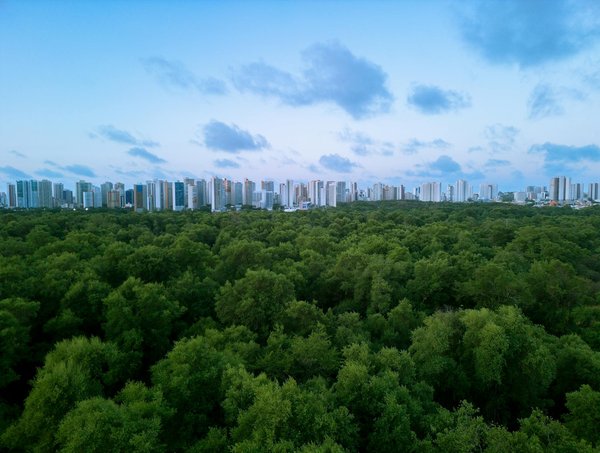 Les Enjeux Cruciaux de la Transition Énergétique Face aux Défis du Changement Climatique